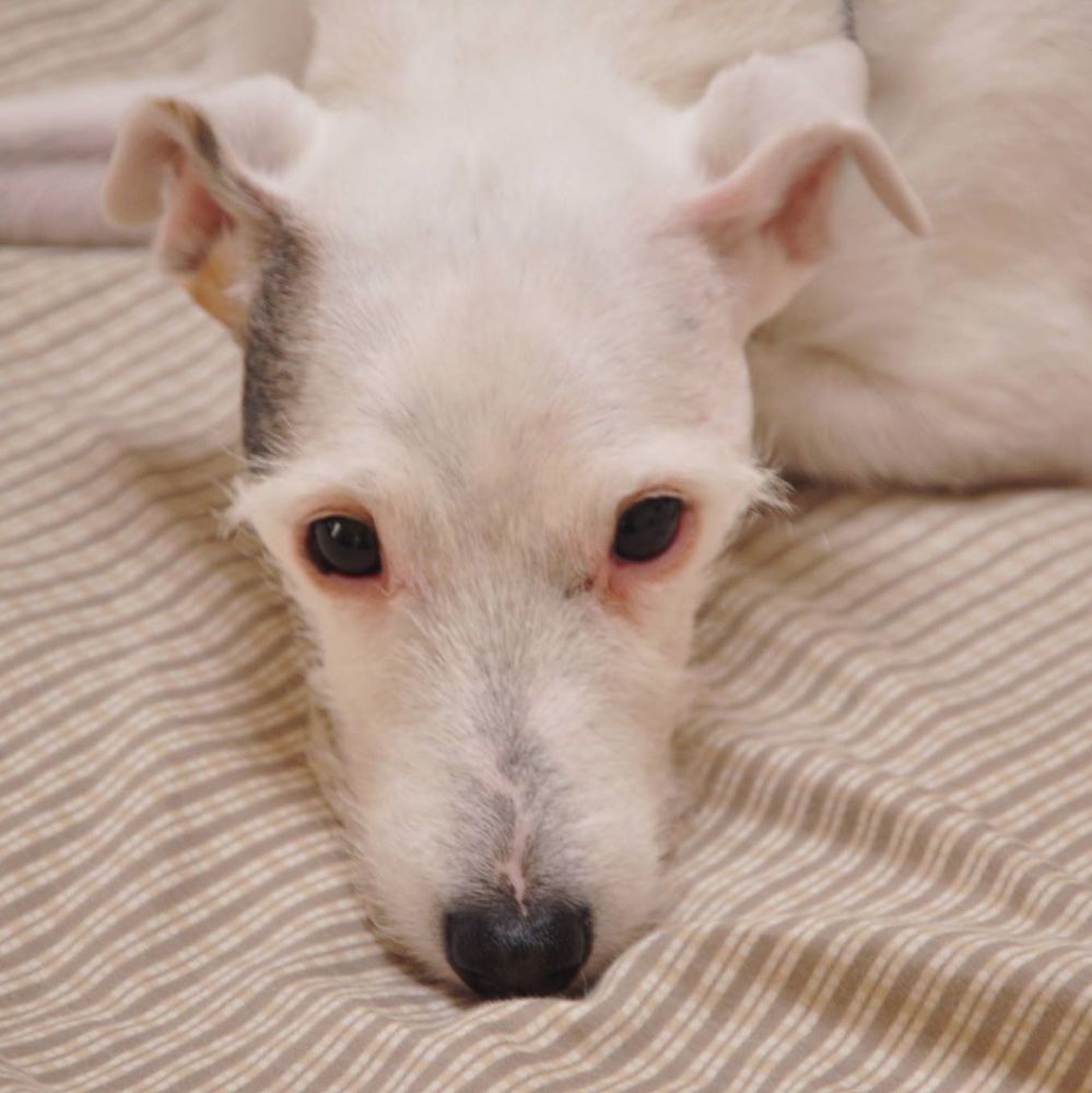 Meet your Posher, Karyn